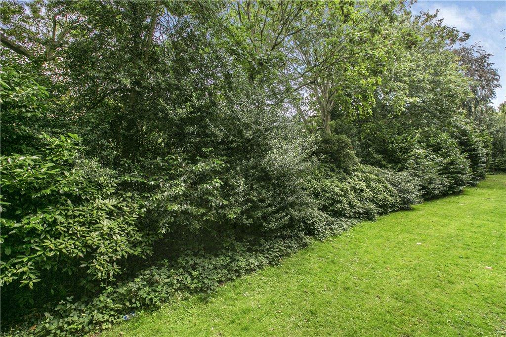 Communal Gardens