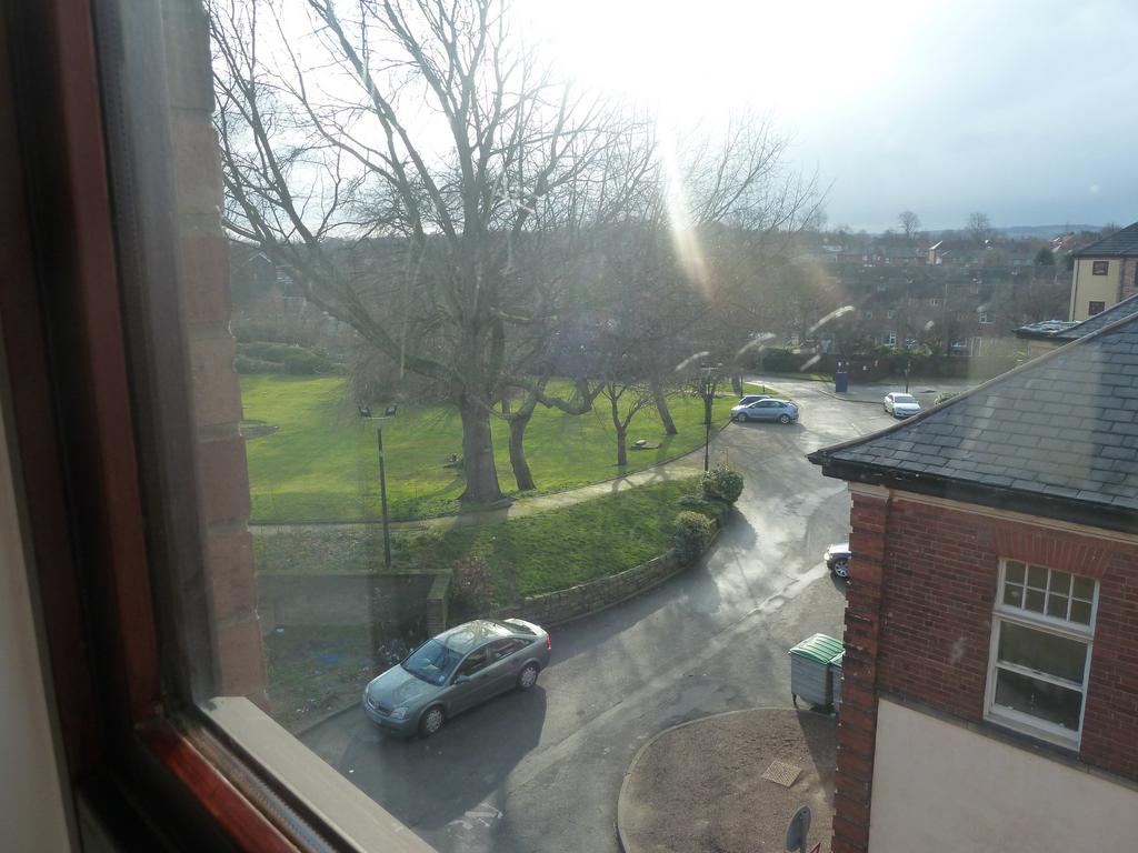 Window view