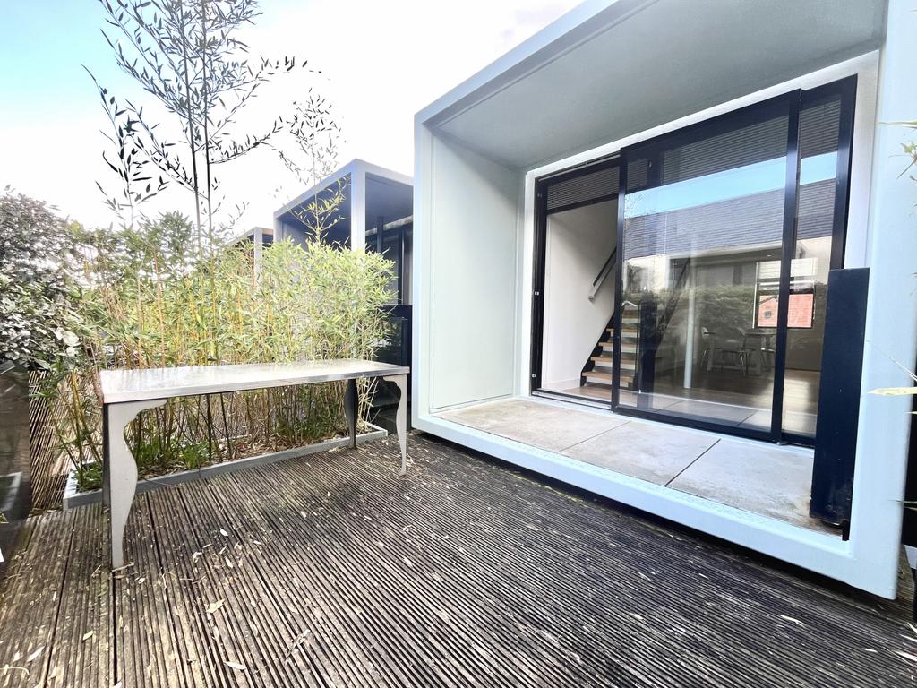Rear Yard