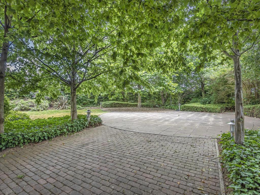 Communal Grounds