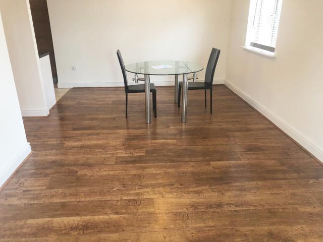 Dining / Living Area