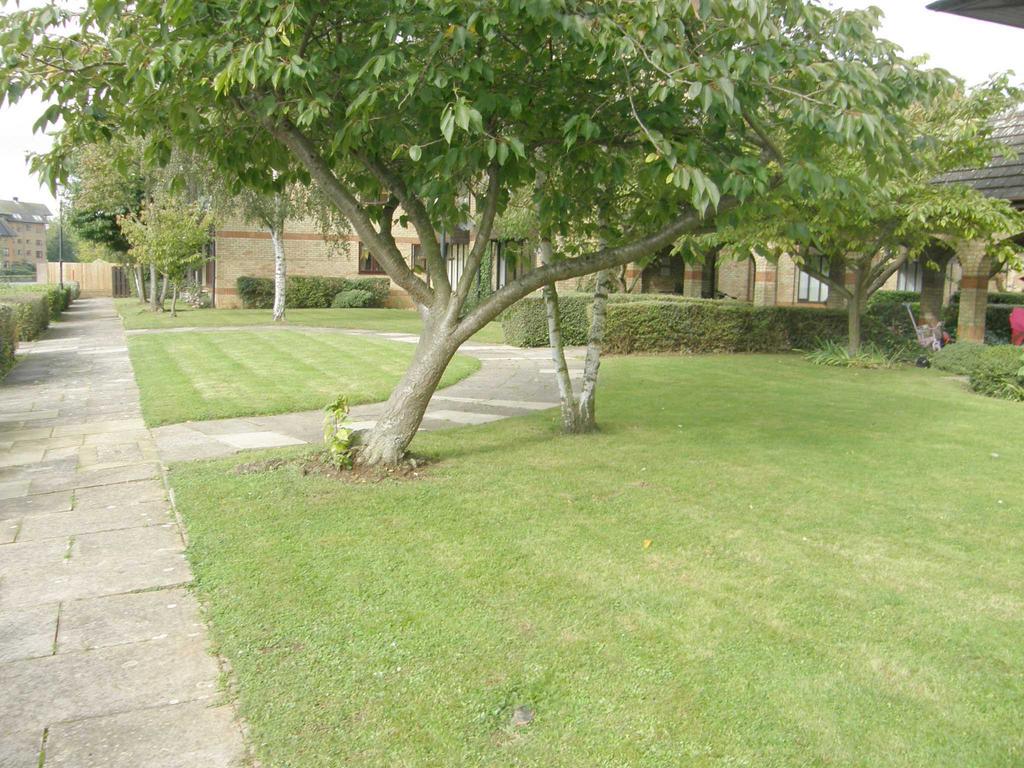 Communal Gardens