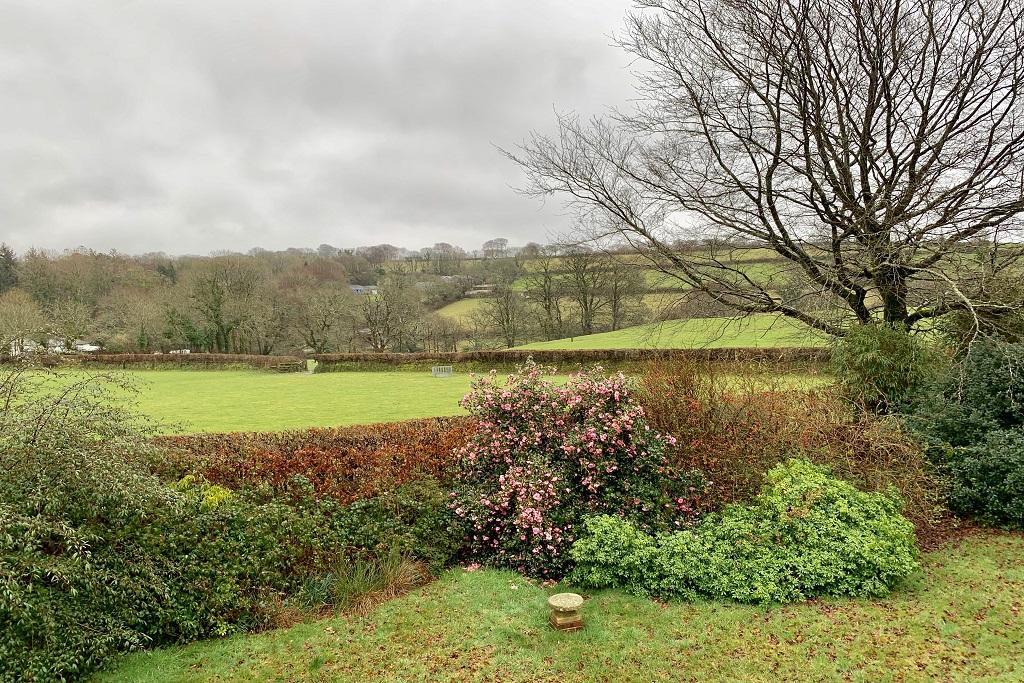 View from garden