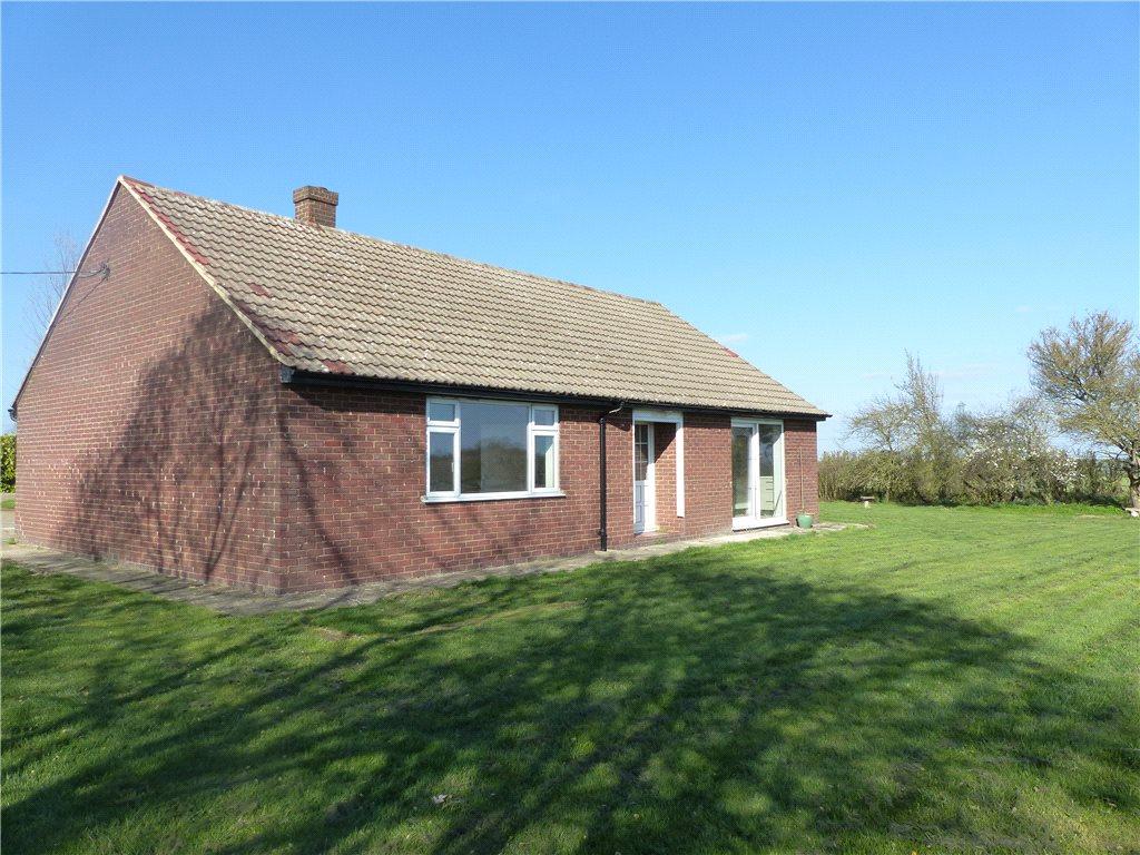 Back Of House