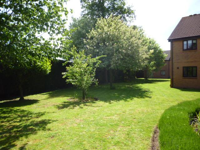 Communal gardens