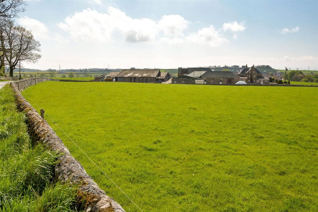 garden sheds; wooden garages & workshops sheds; timber