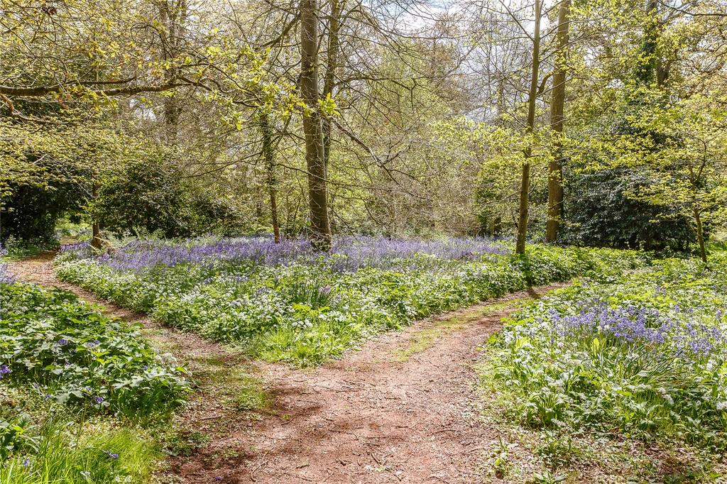 The Woodland
