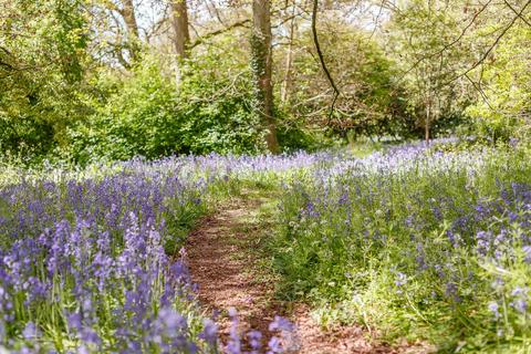undefined, Creedy Park, Crediton, Devon