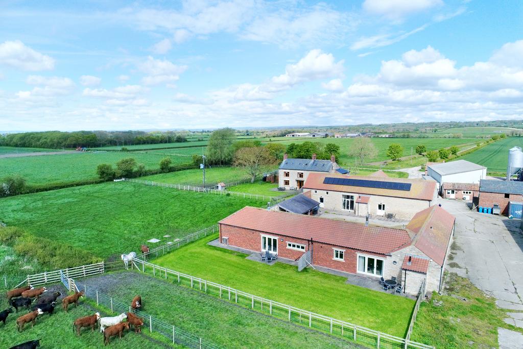 Thornton Le Dale, Pickering YO18 12 bed character property for sale £