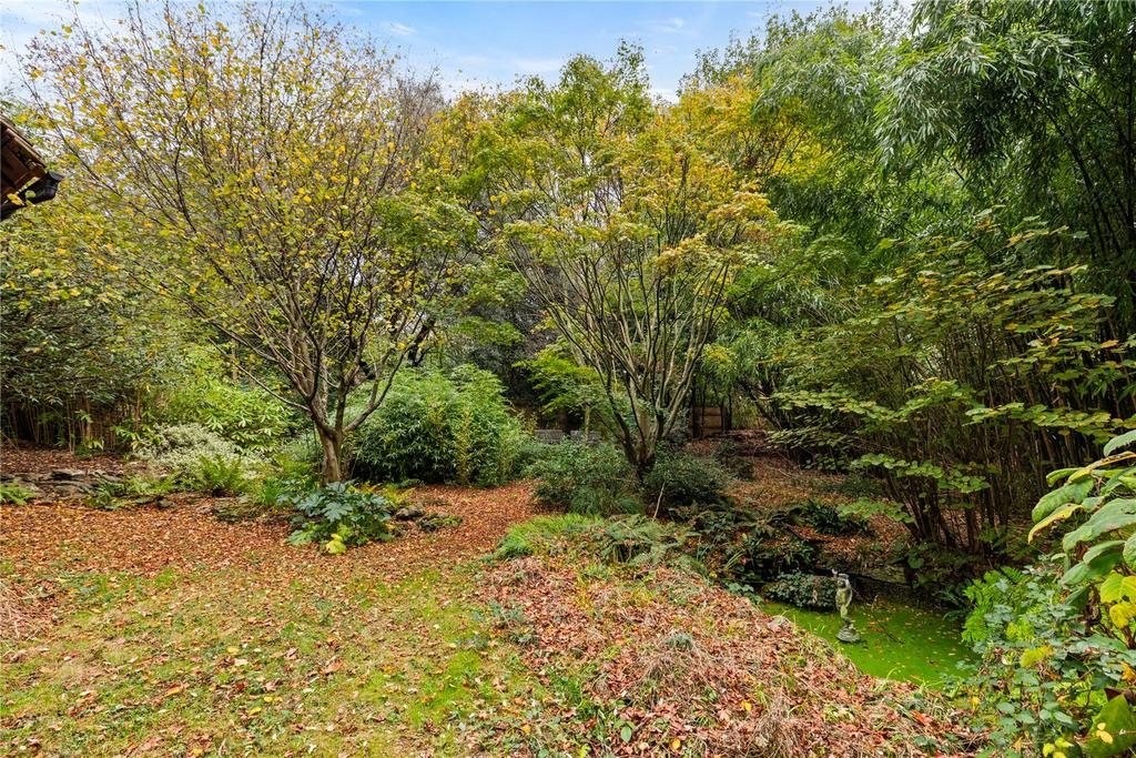 Far Rear Garden