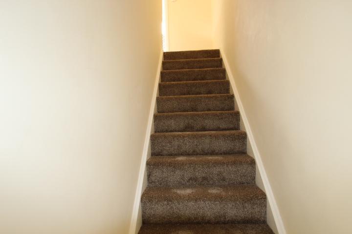 Brand New Carpet To Stairs