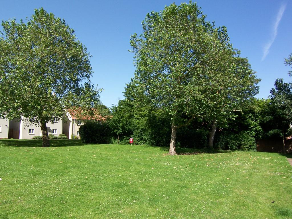 Communal gardens