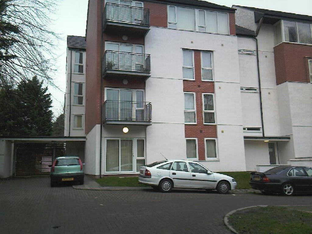 Main Image