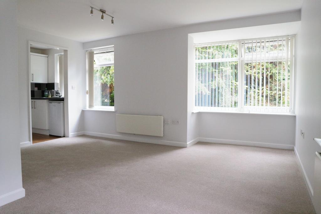 Lounge/Bedroom