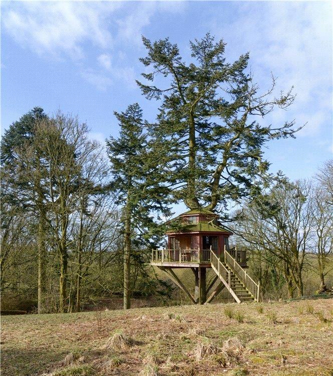 EDN190037 05.jpg