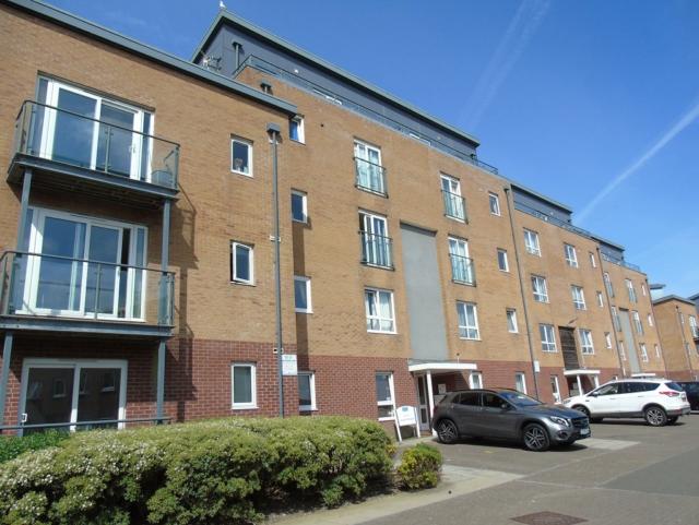 Front Picture