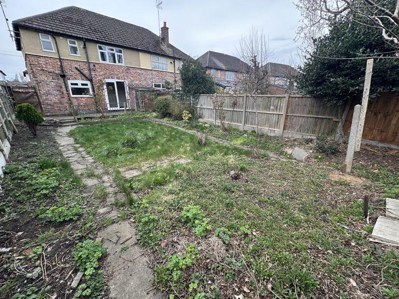 Back Garden