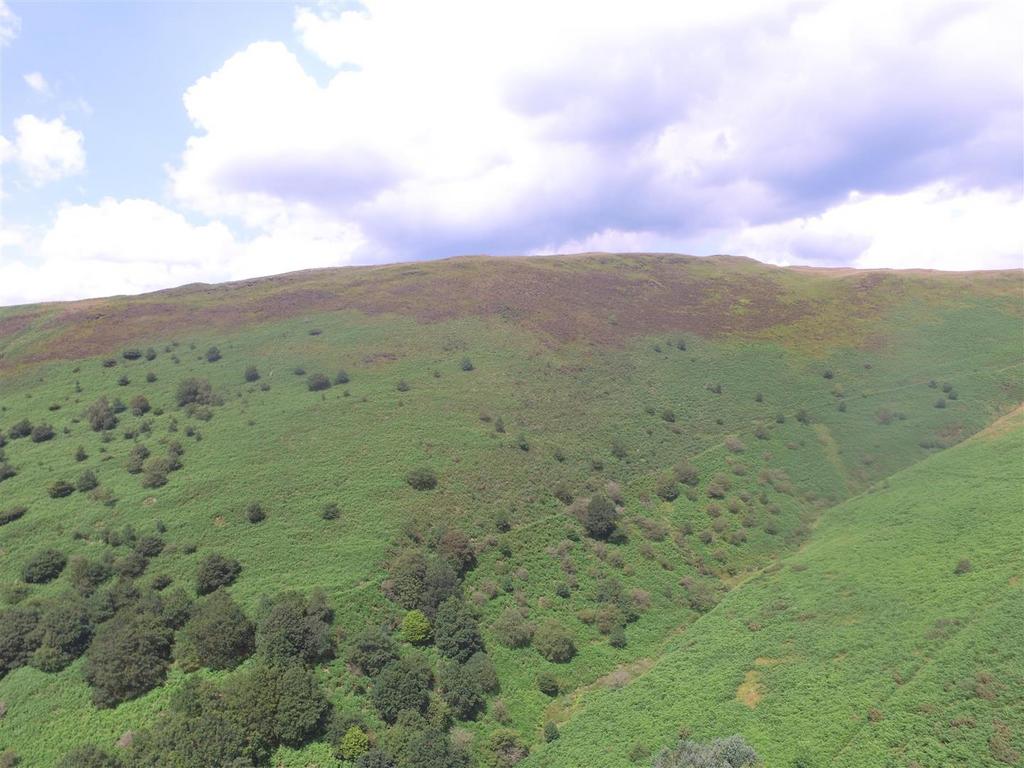 Lot 3   approx 227 acres of enclosed upland mounta