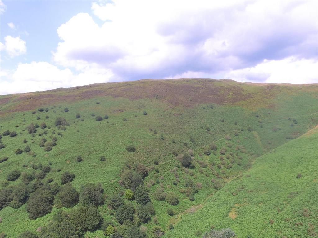 Lot 3 approx 227 acres of enclosed upland mounta