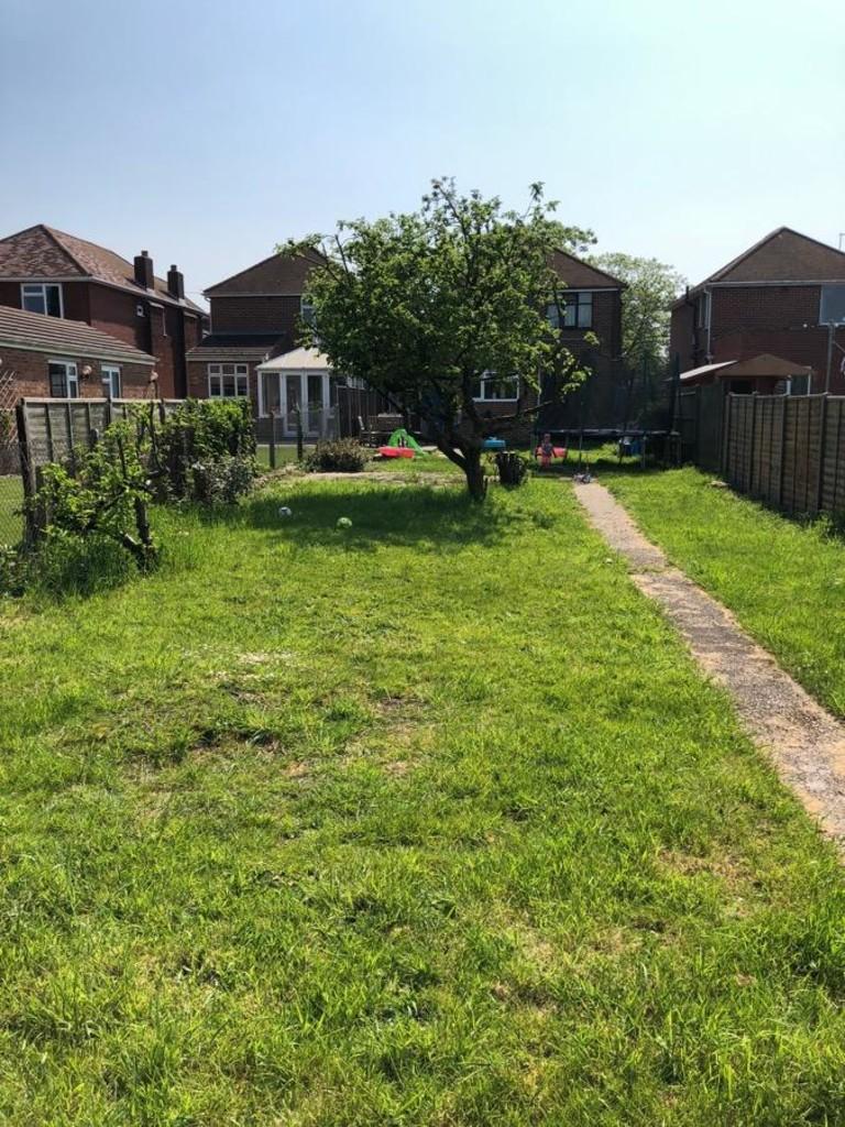 Back Garden