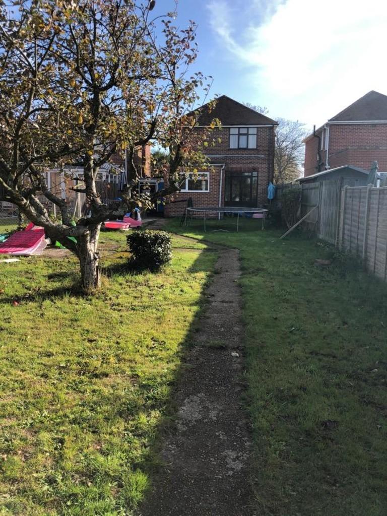 Back Garden