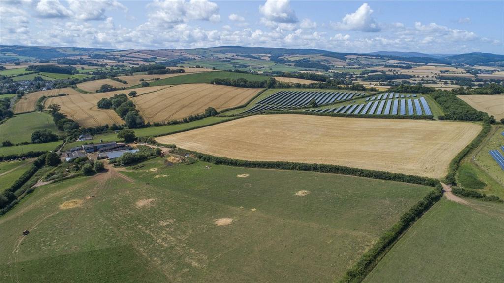 Picture No. 10