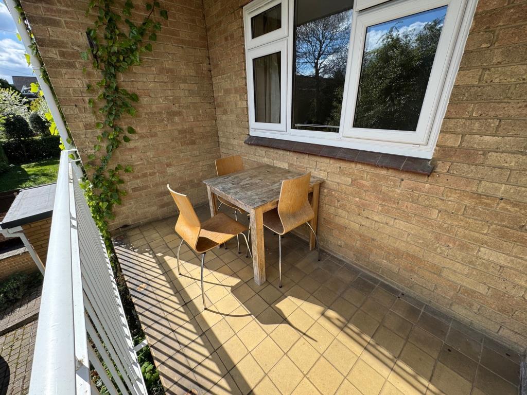 Garden 2