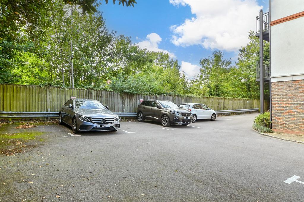 Driveway/Parking