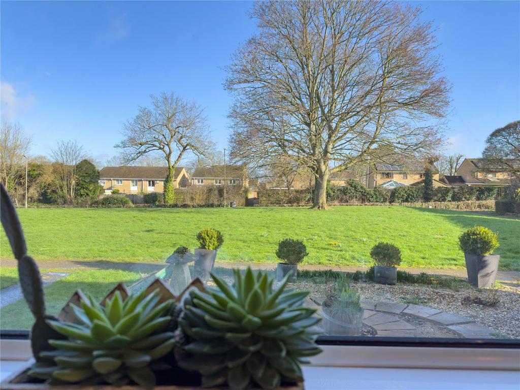 Kitchen View