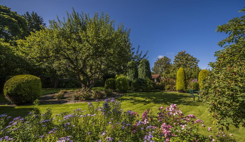 Garden 9