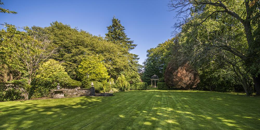 Garden 9