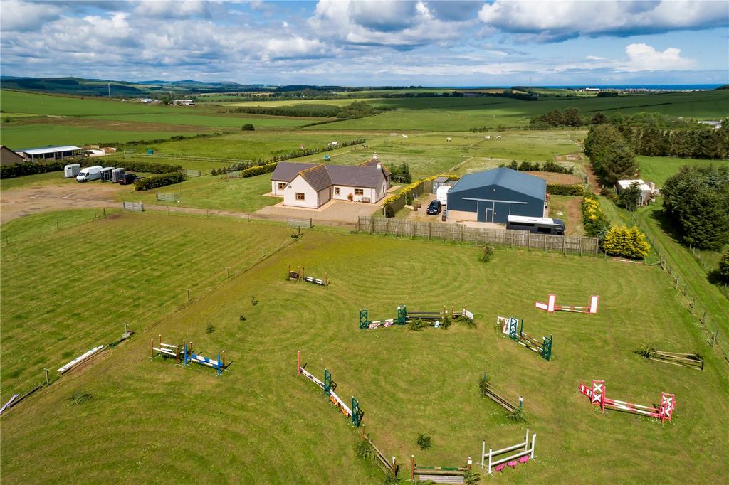 Picture No. 03