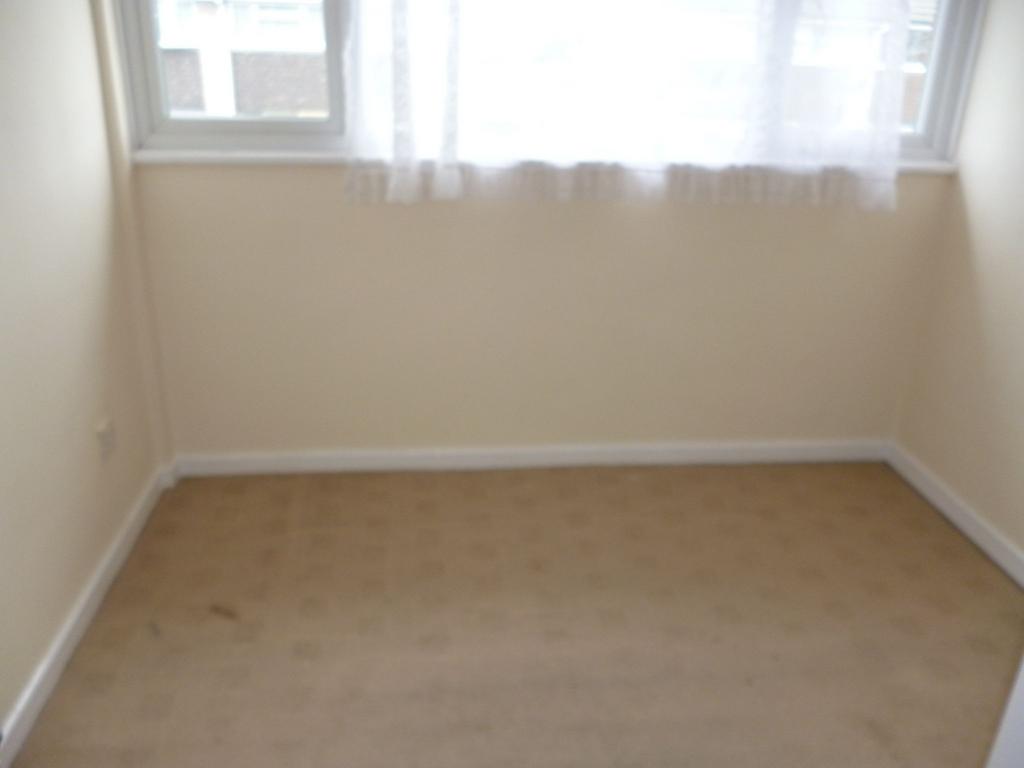 Photograph 11