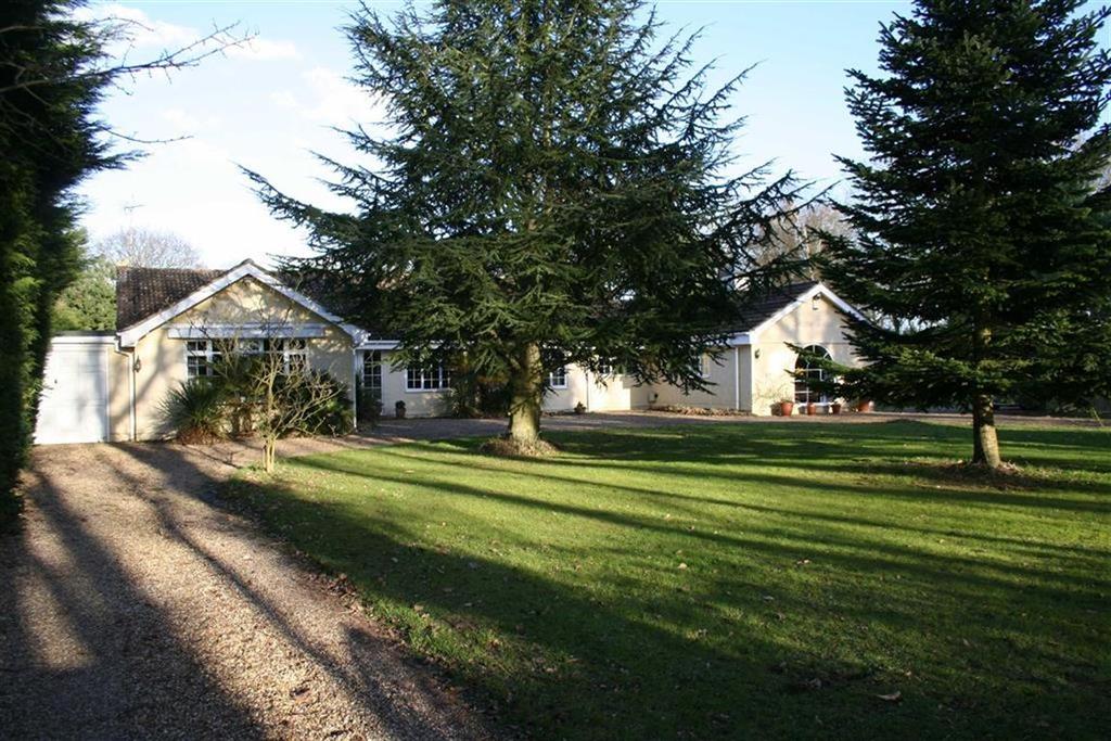 Moor Hall Lane, Danbury Chelmsford, Essex 4 bed detached bungalow £
