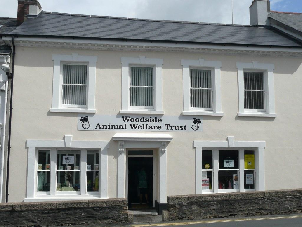 Front view
