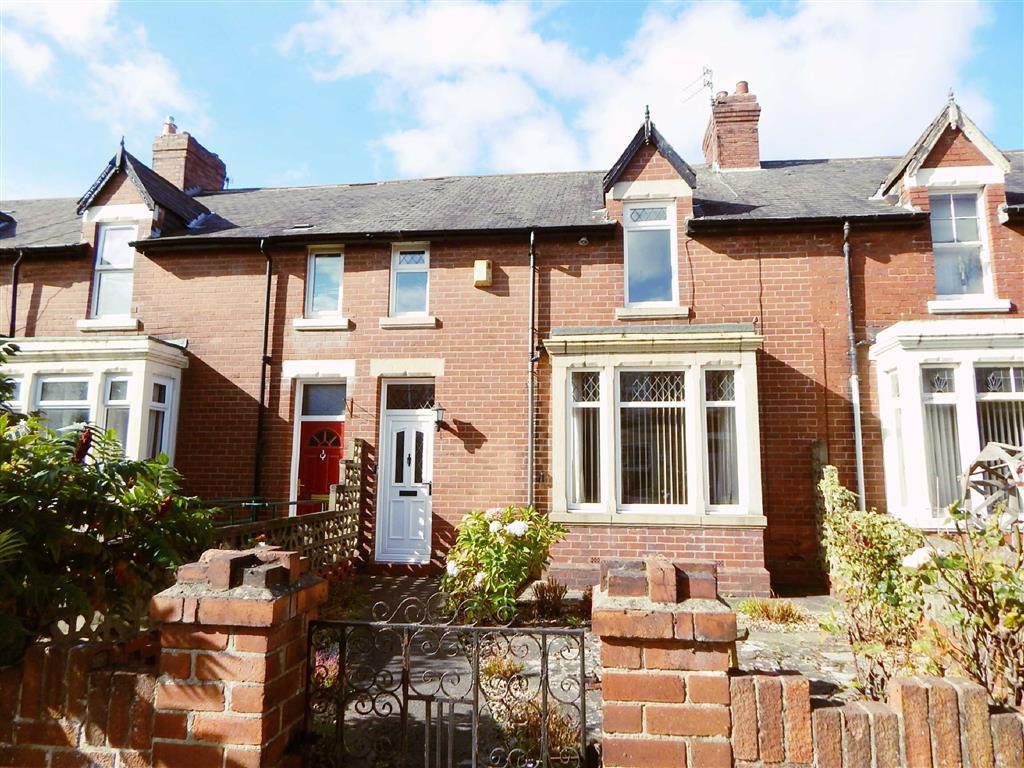 Sunningdale Avenue, Walkerdene, Newcastle Upon Tyne, NE6 3 bed terraced house £99,950