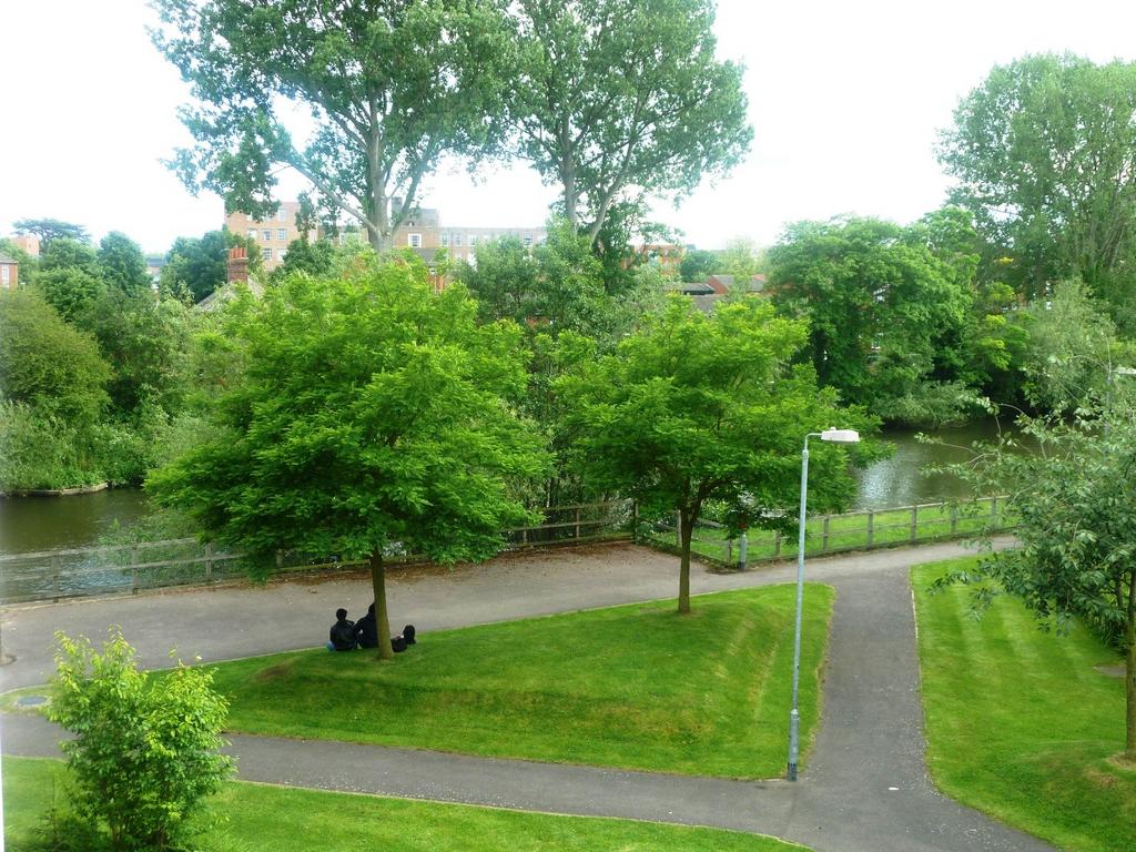 View (b)
