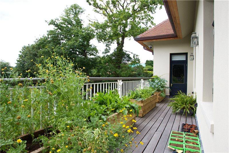 Roof Terrace