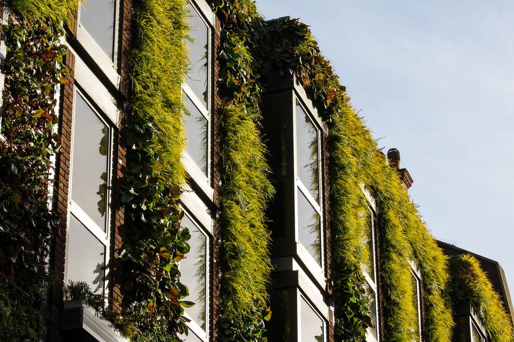 Covent Garden WC2