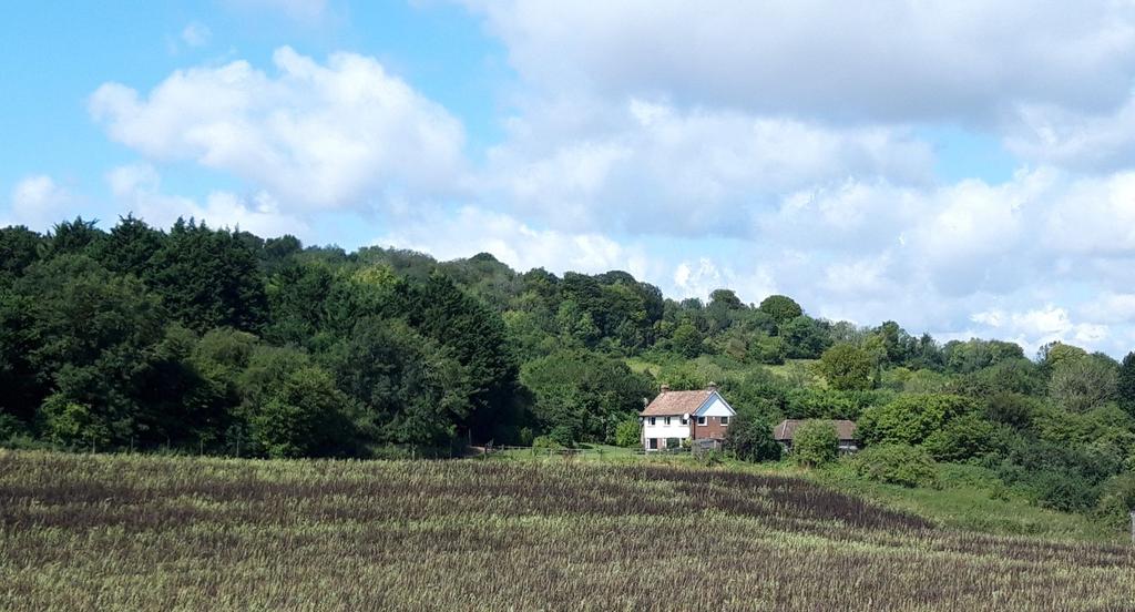 Wye, Ashford, Kent, TN25 4 bed detached house £1,450 pcm (£335 pw)
