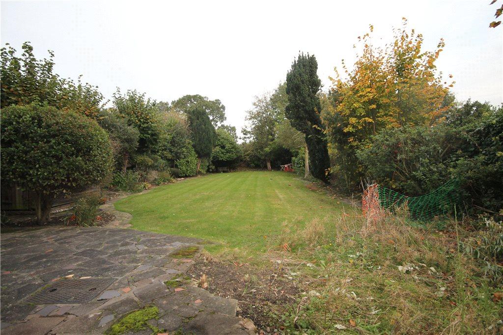 Communal Garden