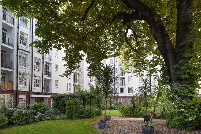 Communal Garden
