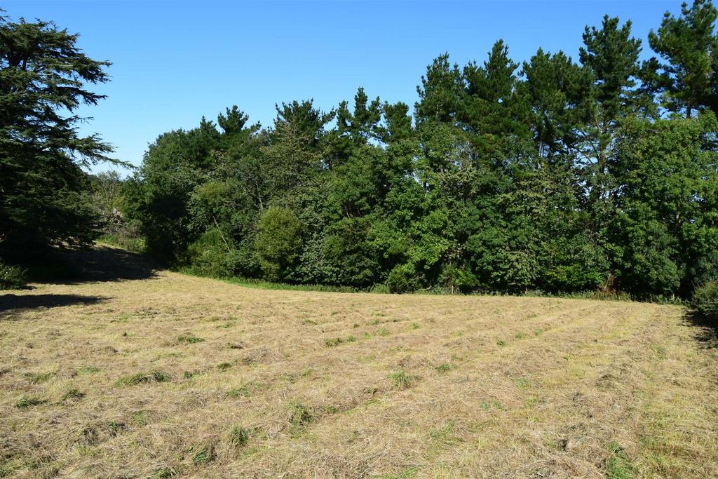 Widworthy Court, Wilmington, Honiton Land £25,000