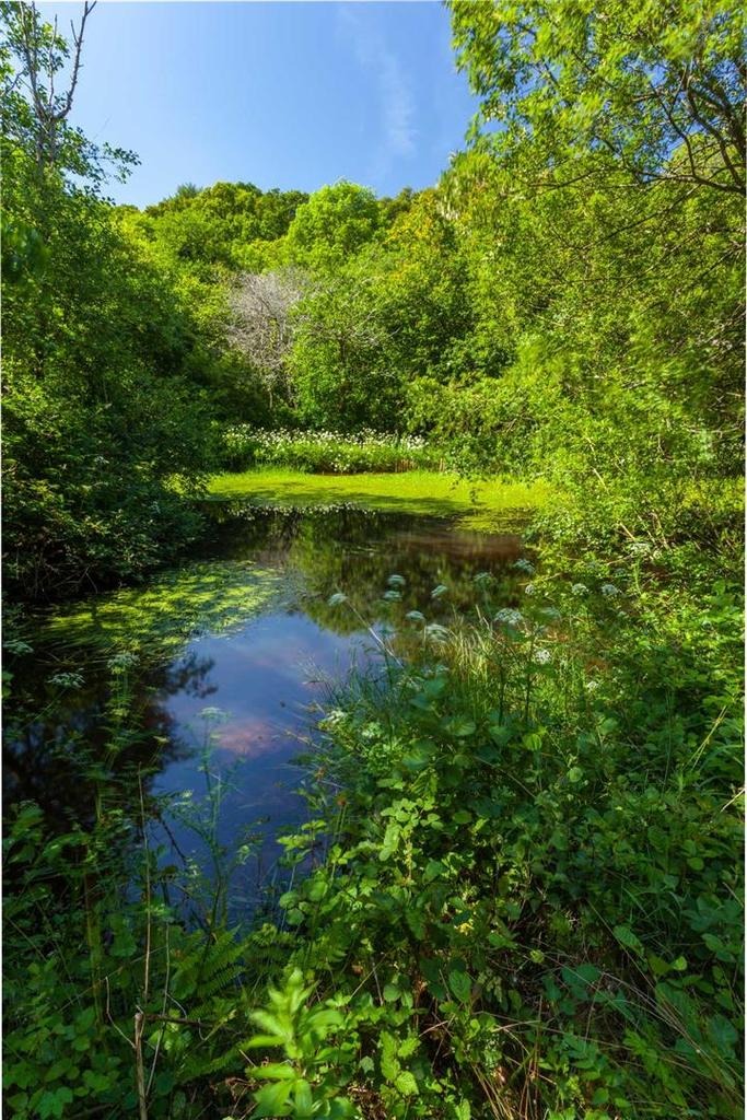 Bridge Reeve, Chulmleigh 9 bed detached house £1,250,000