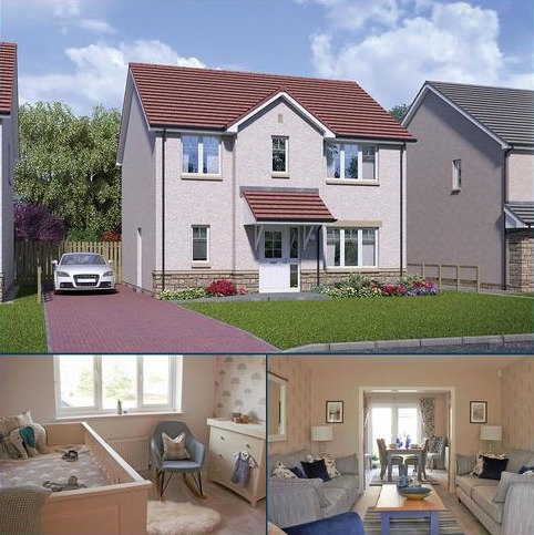 Search 4 Bed Houses For Sale In Clackmannanshire Onthemarket