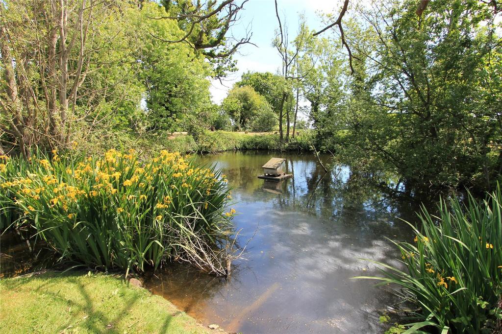 Communal Pond