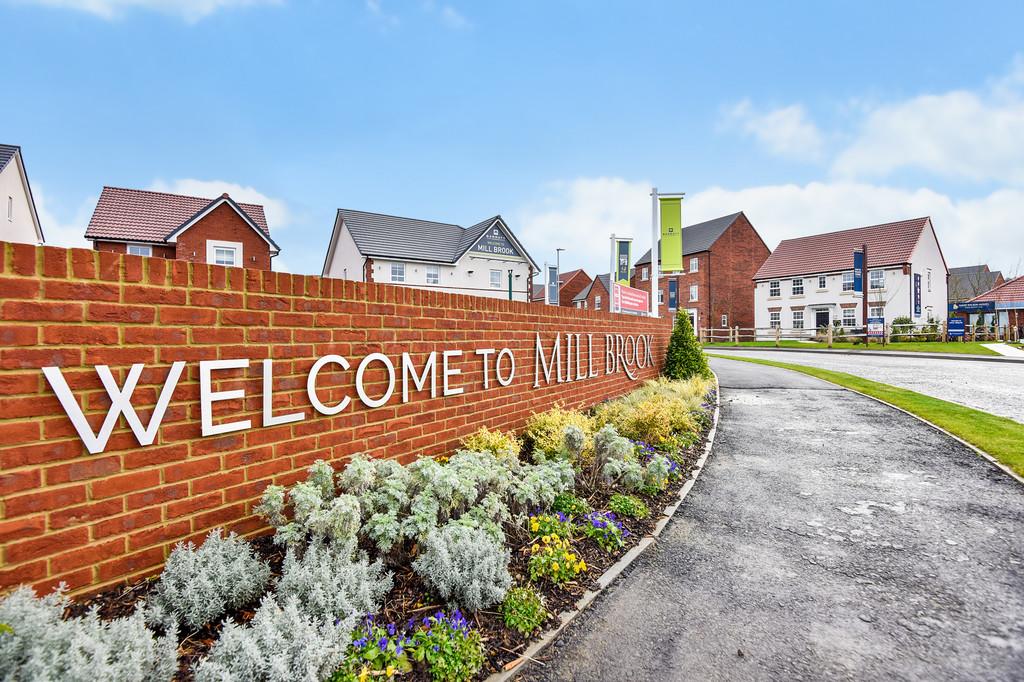 Mill Brook