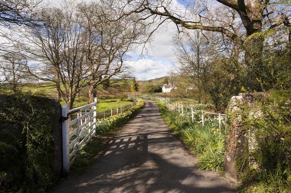 Nanny Goat Broad Oak Underbarrow Kendal Cumbria La8 8ba 2 Bed