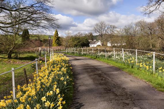 Nanny Goat Broad Oak Underbarrow Kendal Cumbria La8 8ba 2 Bed