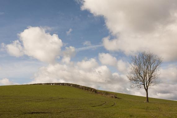 Nanny Goat Broad Oak Underbarrow Kendal Cumbria La8 8ba 2 Bed